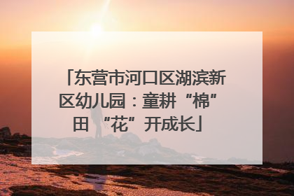 东营市河口区湖滨新区幼儿园：童耕“棉”田 “花”开成长