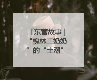 东营故事｜“槐林二奶奶”的“土潮”出圈密码
