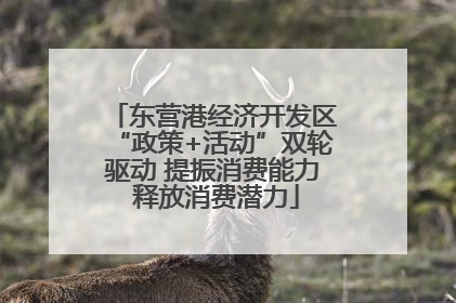 东营港经济开发区“政策+活动”双轮驱动 提振消费能力 释放消费潜力