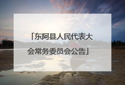 东阿县人民代表大会常务委员会公告