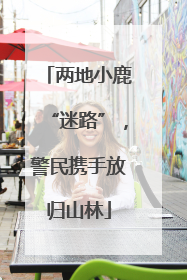 两地小鹿“迷路”，警民携手放归山林