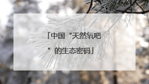 中国“天然氧吧”的生态密码