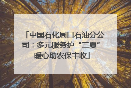 中国石化周口石油分公司：多元服务护“三夏” 暖心助农保丰收