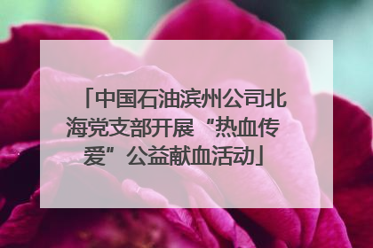 中国石油滨州公司北海党支部开展“热血传爱”公益献血活动