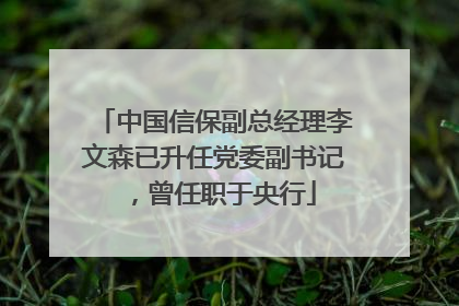 中国信保副总经理李文森已升任党委副书记，曾任职于央行