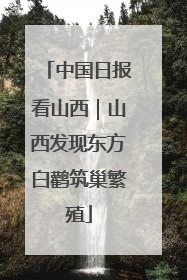中国日报看山西｜山西发现东方白鹳筑巢繁殖