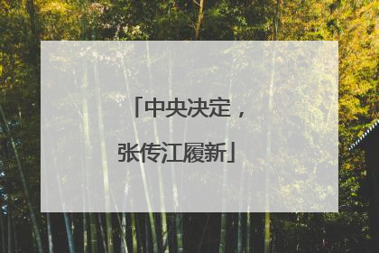 中央决定，张传江履新
