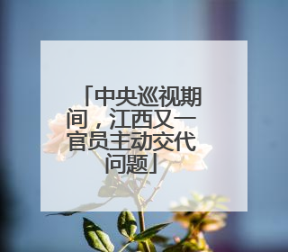 中央巡视期间，江西又一官员主动交代问题