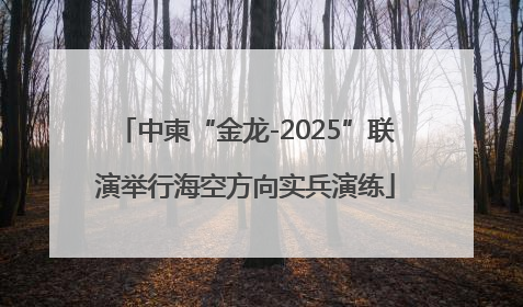 中柬“金龙-2025”联演举行海空方向实兵演练