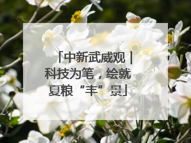 中新武威观｜科技为笔，绘就夏粮“丰”景