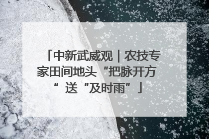 中新武威观｜农技专家田间地头“把脉开方”送“及时雨”