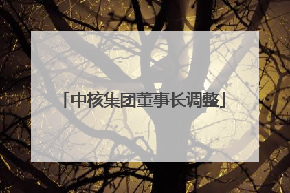 中核集团董事长调整
