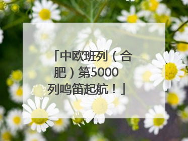 中欧班列（合肥）第5000列鸣笛起航！