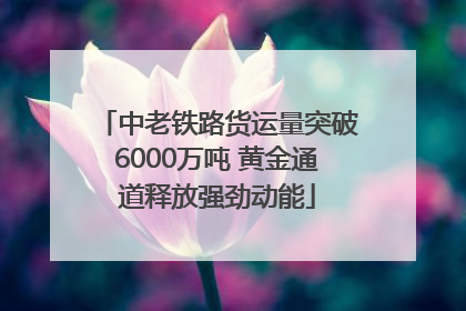 中老铁路货运量突破6000万吨 黄金通道释放强劲动能