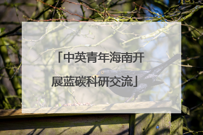 中英青年海南开展蓝碳科研交流