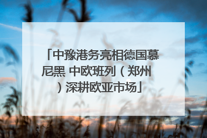 中豫港务亮相德国慕尼黑 中欧班列（郑州）深耕欧亚市场