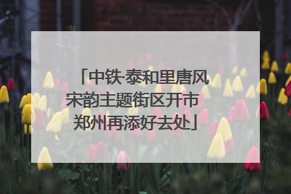 中铁·泰和里唐风宋韵主题街区开市 郑州再添好去处
