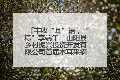丰收“耳”语，“粽”享端午—山阳县乡村振兴投资开发有限公司首届木耳采摘活动盛大启幕