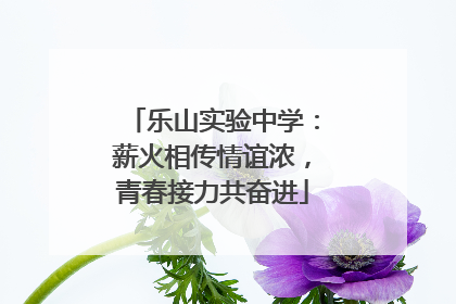 乐山实验中学：薪火相传情谊浓，青春接力共奋进