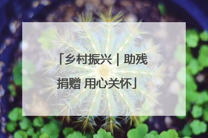 乡村振兴｜助残捐赠 用心关怀