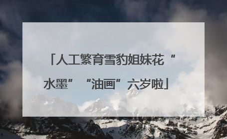 人工繁育雪豹姐妹花“水墨”“油画”六岁啦