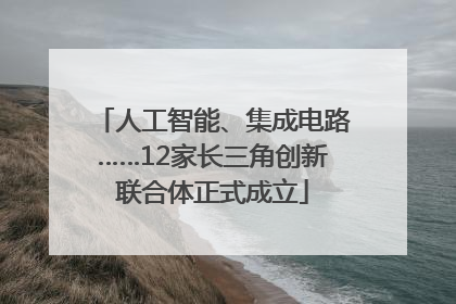 人工智能、集成电路……12家长三角创新联合体正式成立