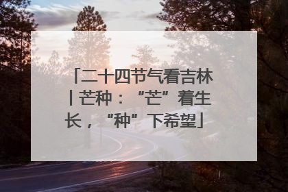 二十四节气看吉林丨芒种：“芒”着生长，“种”下希望