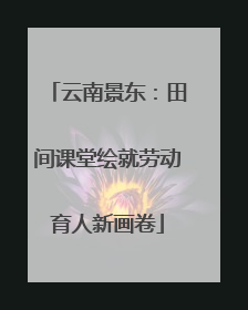 云南景东：田间课堂绘就劳动育人新画卷