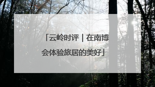 云岭时评｜在南博会体验旅居的美好