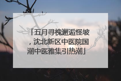 五月寻槐邂逅怪坡，沈北新区中医院国潮中医雅集引热潮
