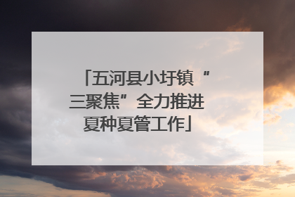 五河县小圩镇“三聚焦”全力推进夏种夏管工作
