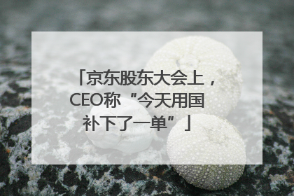 京东股东大会上，CEO称“今天用国补下了一单”