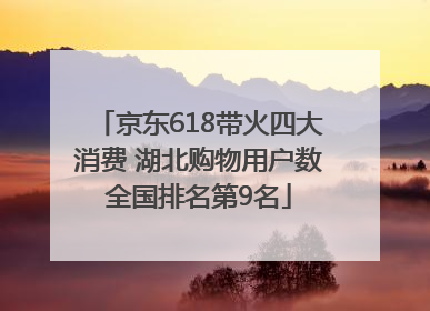 京东618带火四大消费 湖北购物用户数全国排名第9名