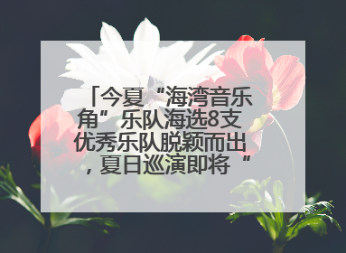 今夏“海湾音乐角”乐队海选8支优秀乐队脱颖而出，夏日巡演即将“乐动”青岛市南