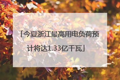 今夏浙江最高用电负荷预计将达1.33亿千瓦