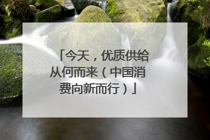 今天，优质供给从何而来（中国消费向新而行）