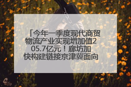 今年一季度现代商贸物流产业实现增加值205.7亿元！廊坊加快构建链接京津冀面向全世界的物流通道