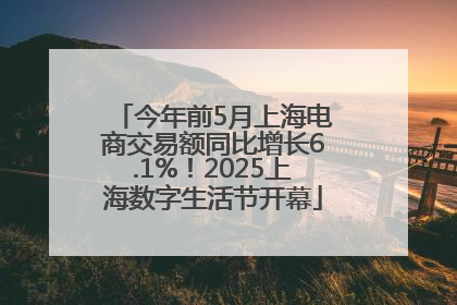 今年前5月上海电商交易额同比增长6.1%！2025上海数字生活节开幕