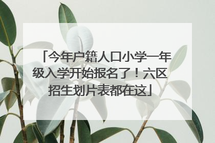今年户籍人口小学一年级入学开始报名了！六区招生划片表都在这