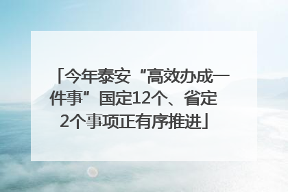今年泰安“高效办成一件事”国定12个、省定2个事项正有序推进