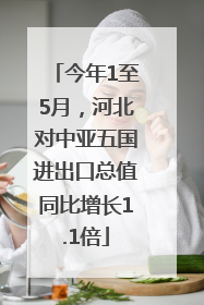 今年1至5月，河北对中亚五国进出口总值同比增长1.1倍