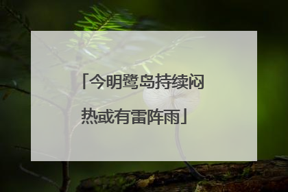 今明鹭岛持续闷热或有雷阵雨