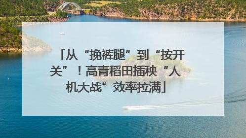 从“挽裤腿”到“按开关”！高青稻田插秧“人机大战”效率拉满