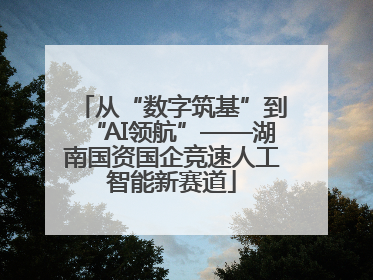 从“数字筑基”到“AI领航”——湖南国资国企竞速人工智能新赛道