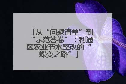 从“问题清单”到“示范答卷”：利通区农业节水整改的“蝶变之路”