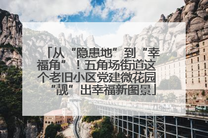 从“隐患地”到“幸福角”！五角场街道这个老旧小区党建微花园“靓”出幸福新图景
