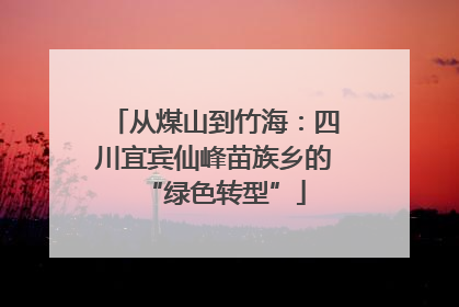 从煤山到竹海：四川宜宾仙峰苗族乡的“绿色转型”