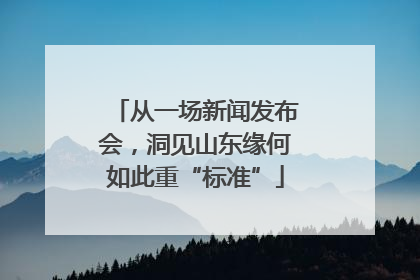 从一场新闻发布会，洞见山东缘何如此重“标准”