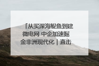 从买深海鳀鱼到建微电网 中企加速掘金非洲现代化｜直击中非经贸博览会