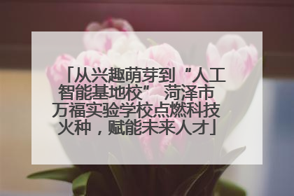 从兴趣萌芽到“人工智能基地校” 菏泽市万福实验学校点燃科技火种，赋能未来人才